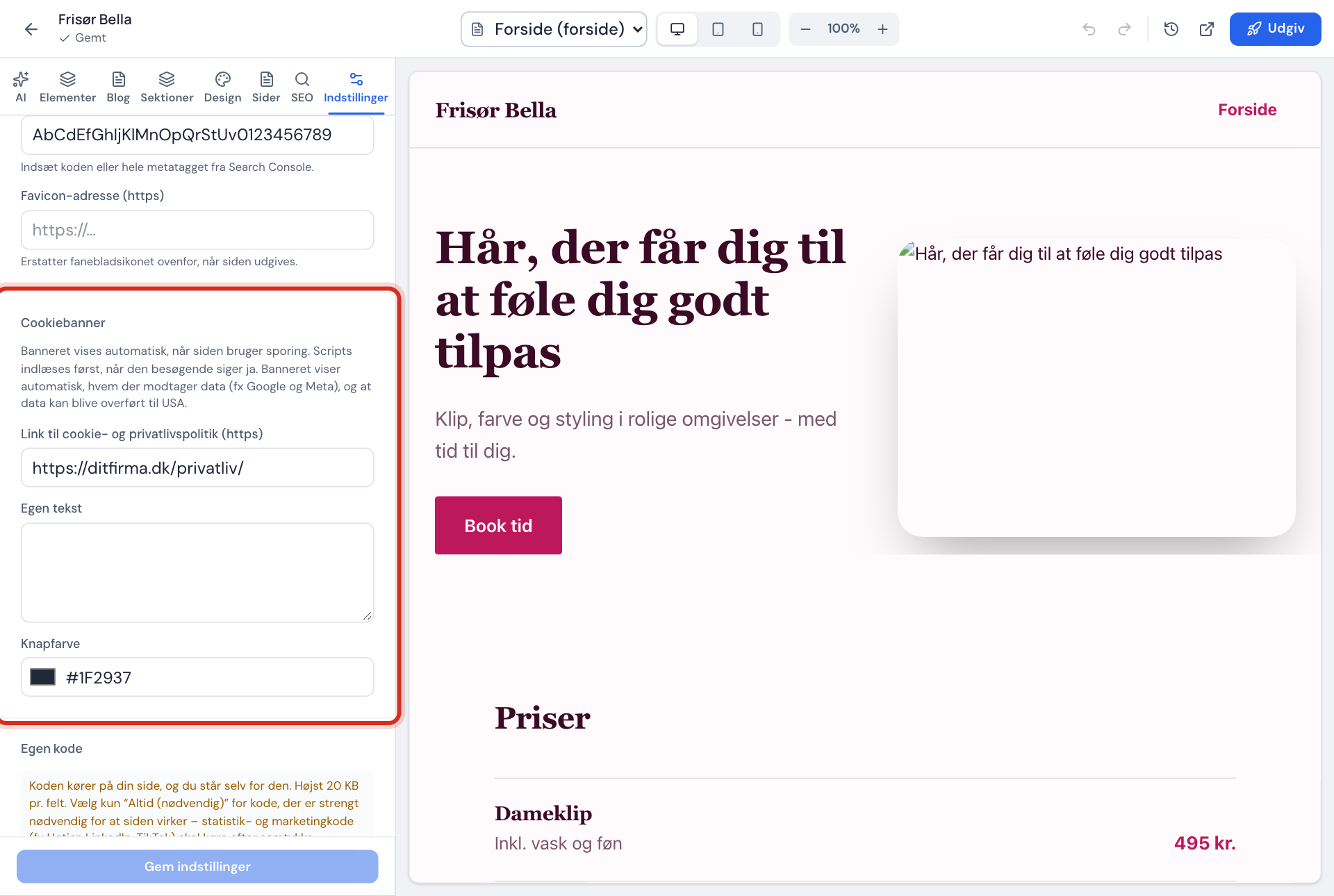 Indstillinger for hjemmesiden: Cookiebanner med link til privatlivspolitik, egen tekst og knapfarve