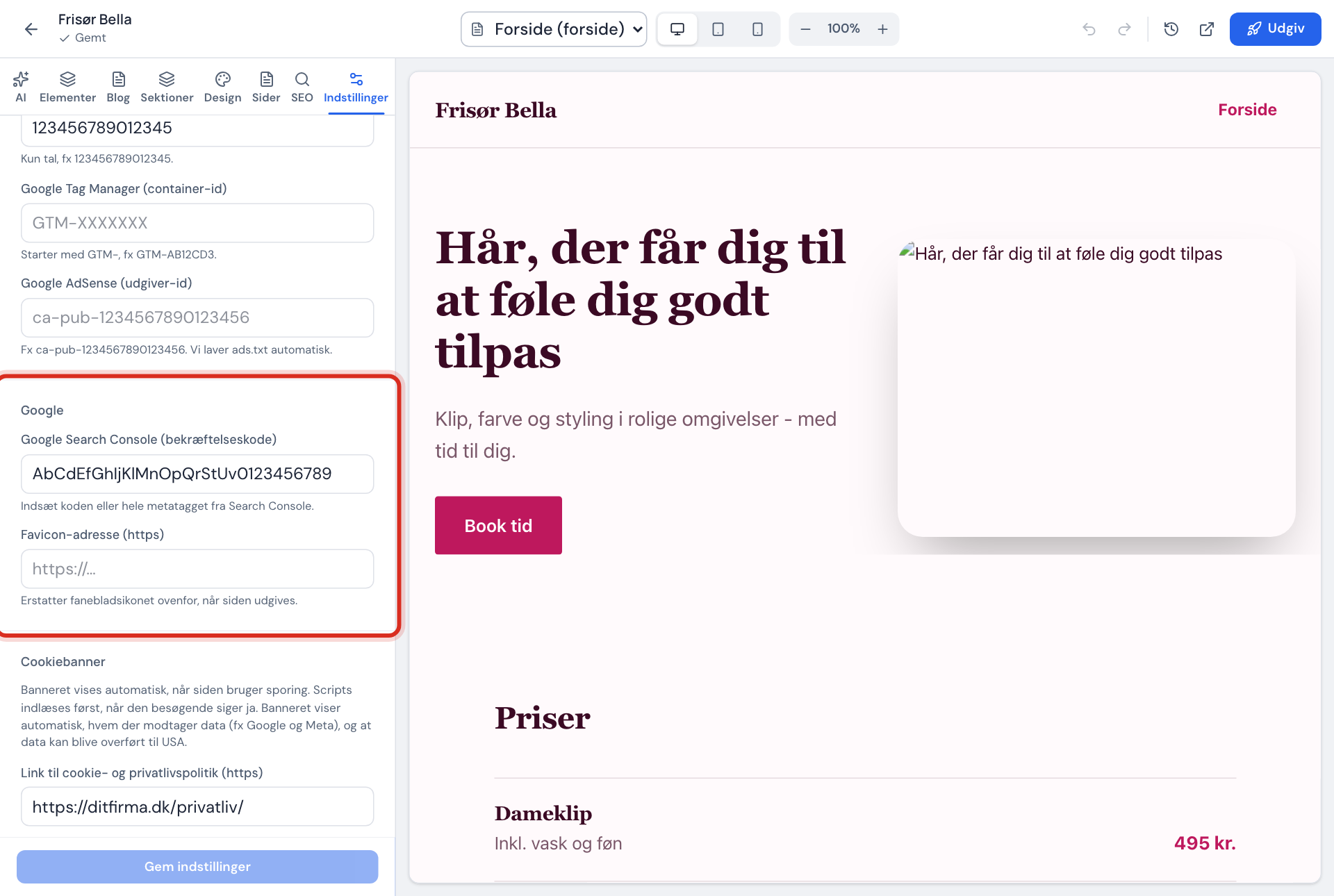 Indstillinger for hjemmesiden: afsnittet Google med feltet Google Search Console (bekræftelseskode) udfyldt