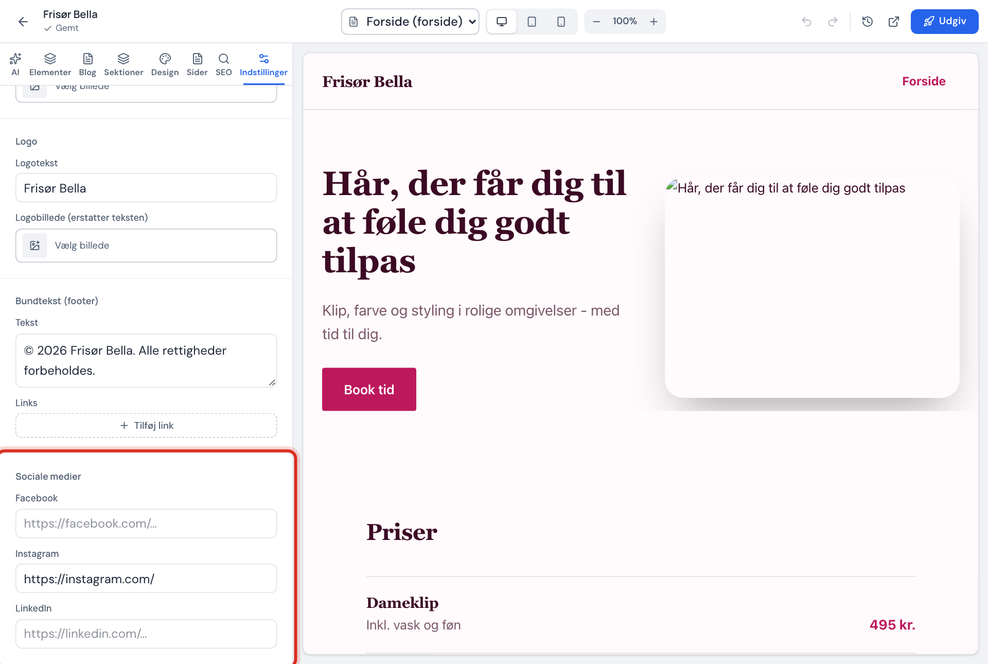 Fanen Indstillinger med afsnittet Sociale medier og felterne Facebook, Instagram og LinkedIn
