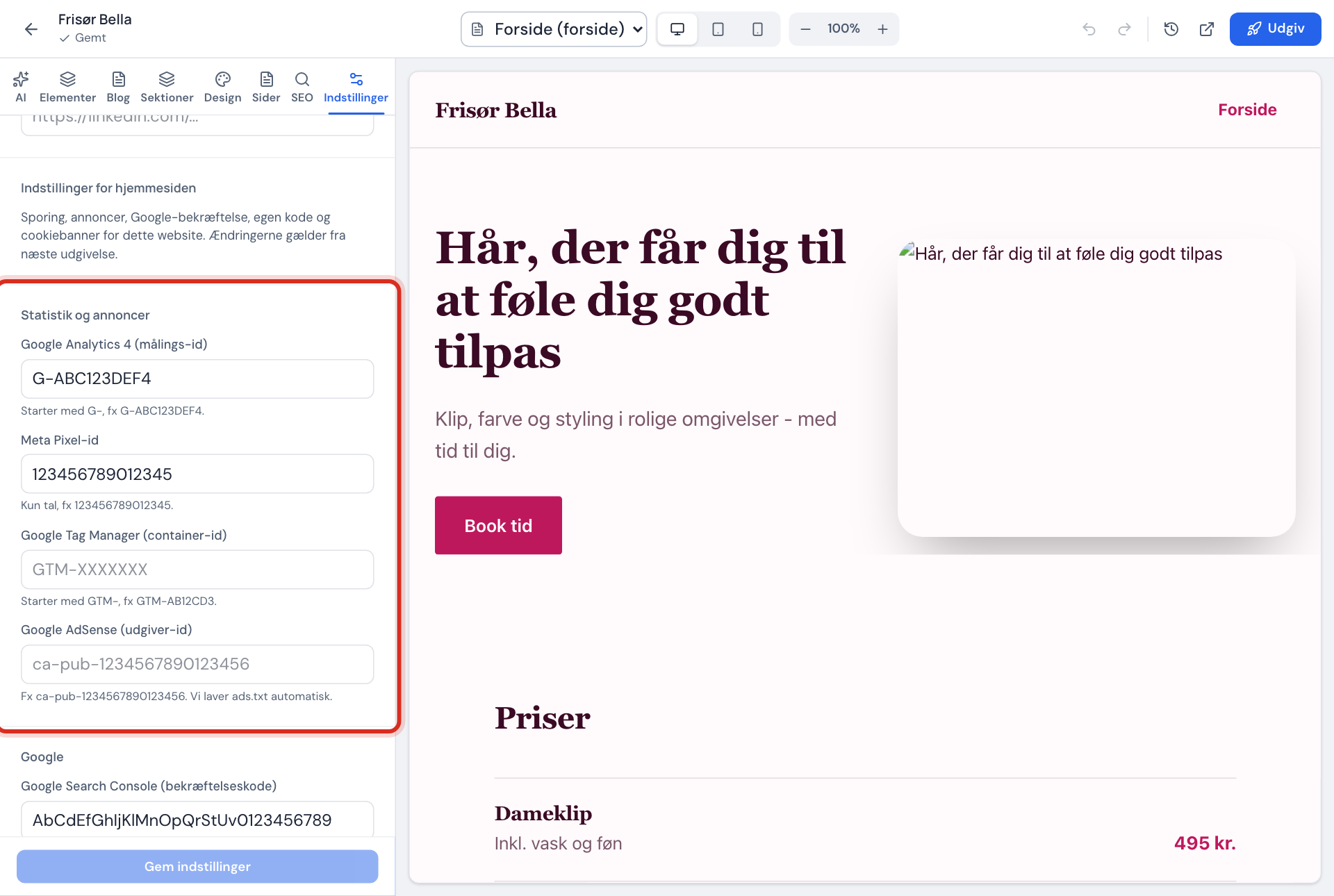 Indstillinger for hjemmesiden: Statistik og annoncer med Google Analytics 4 og Meta Pixel-id udfyldt
