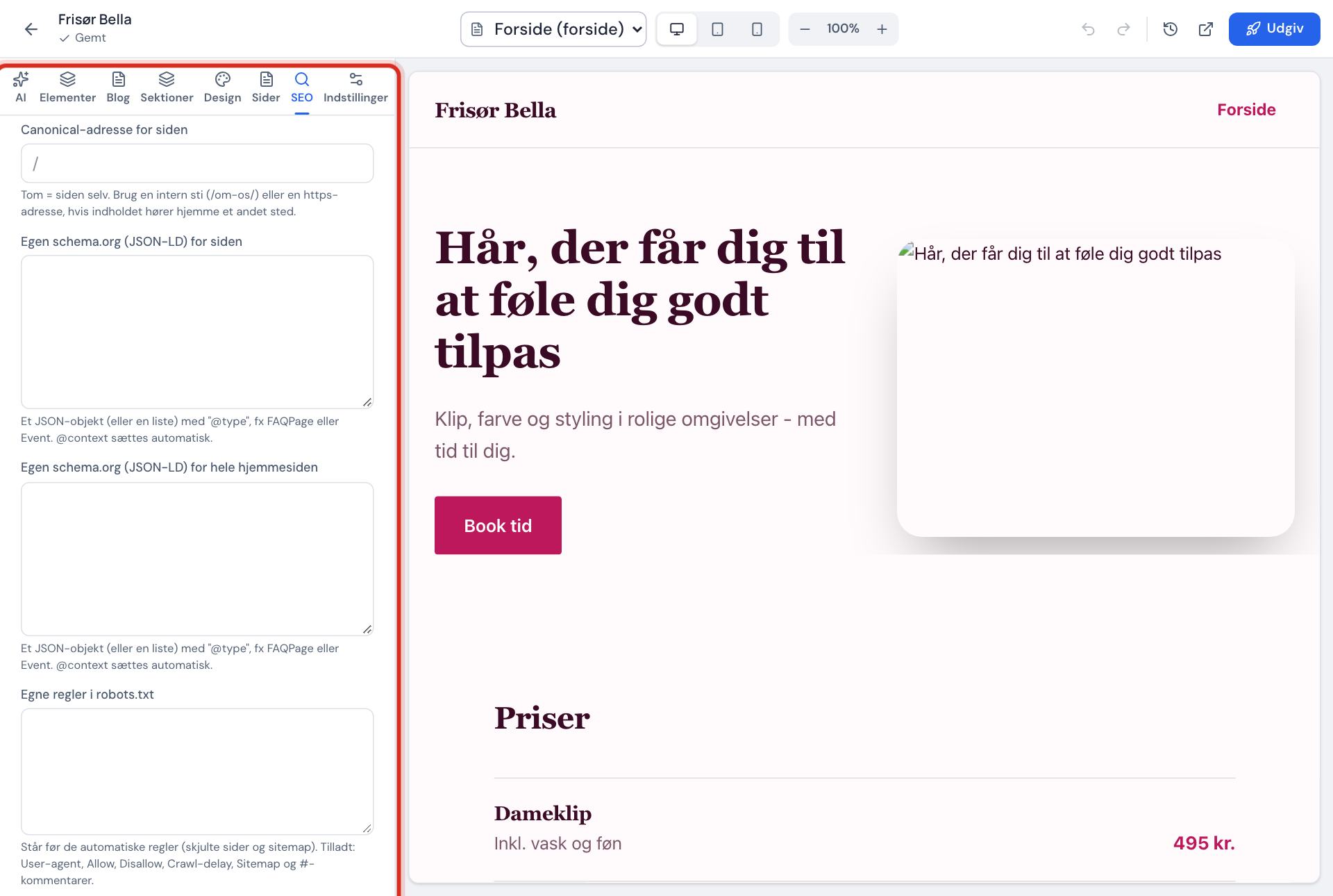 SEO-fanen: afsnittet Avanceret SEO med canonical-adresse, egen schema.org og egne regler i robots.txt