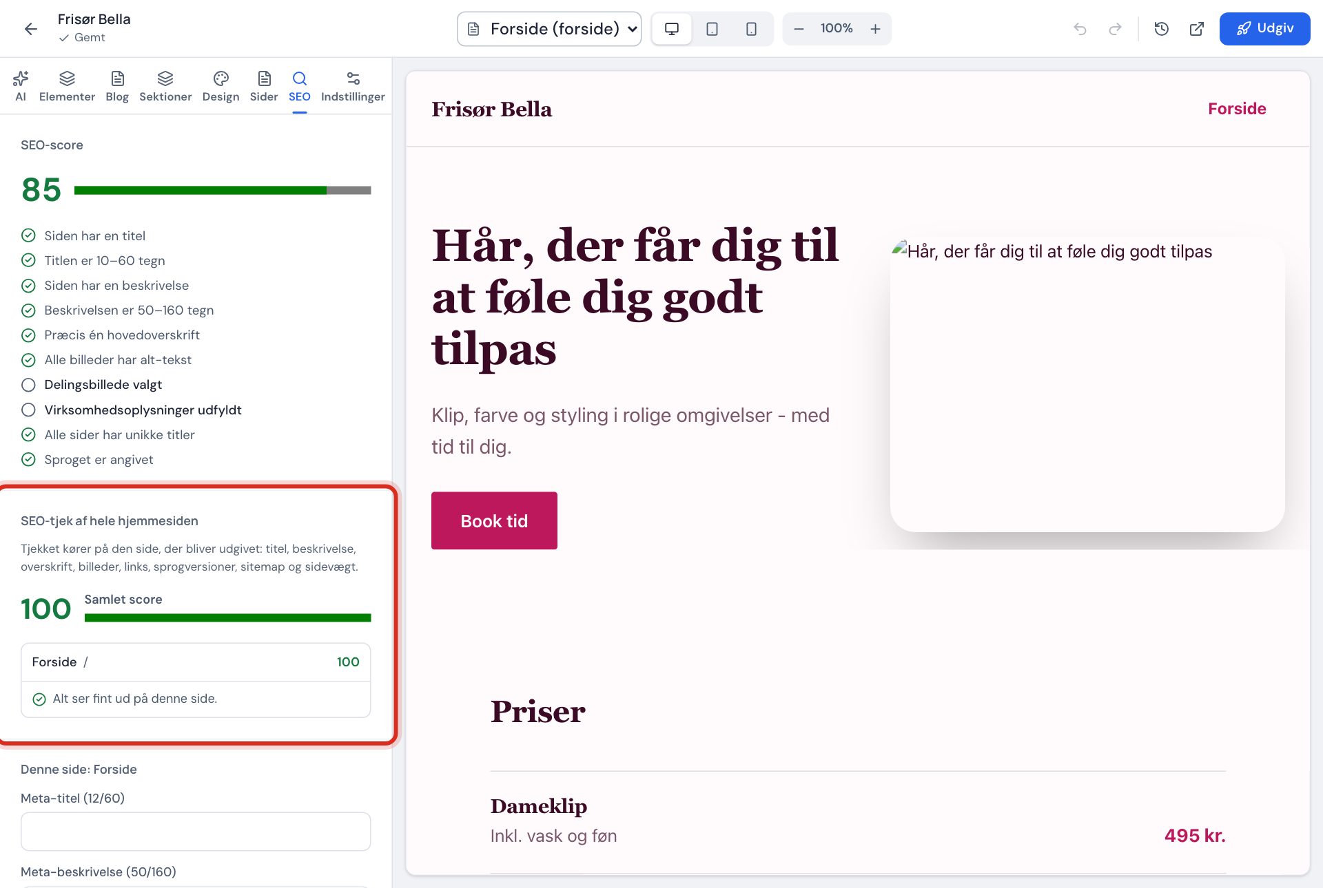 SEO-fanen med SEO-tjek af hele hjemmesiden: samlet score og fund mærket Skal rettes og Kan forbedres