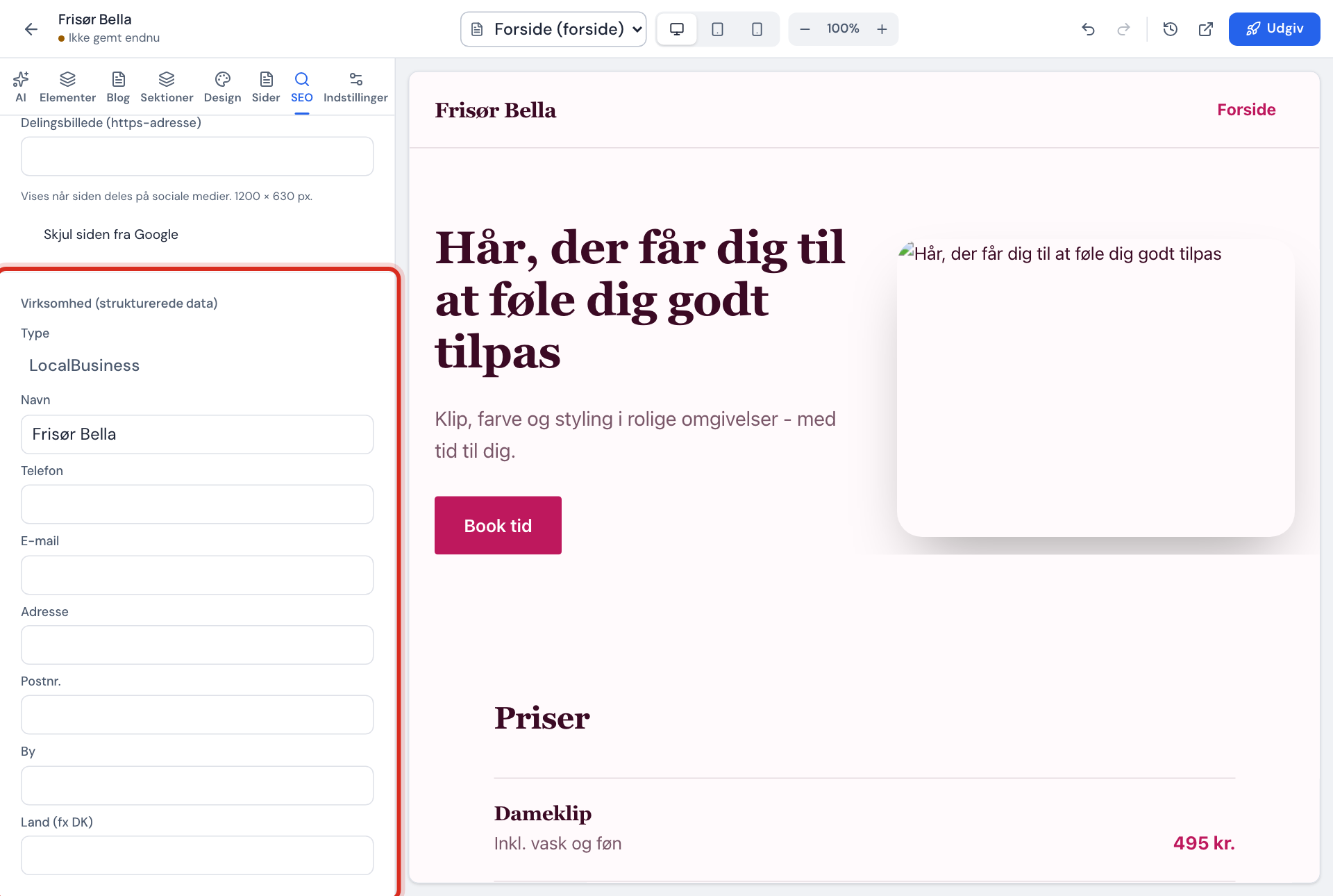 SEO-fanen: afsnittet Virksomhed (strukturerede data) med felterne Type, Navn, Telefon og adresse