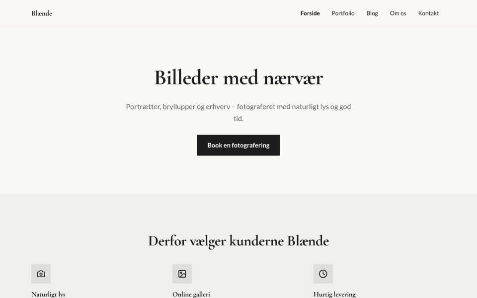 Screenshot der Vorlage Blænde auf desktop